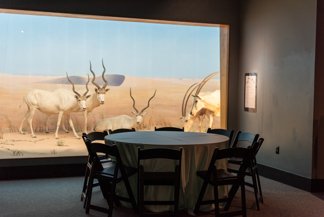 A table with chairs set up in front of the desert of boku diorama.